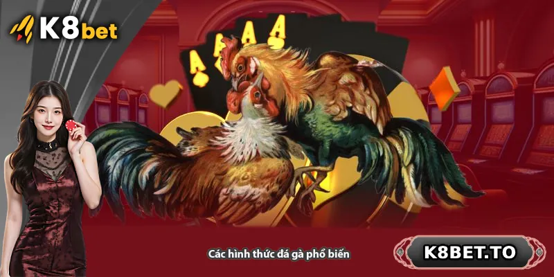 Các hình thức đá gà phổ biến tại K8BET
