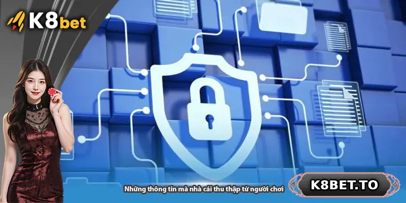 Những thông tin mà nhà cái thu thập từ người chơi