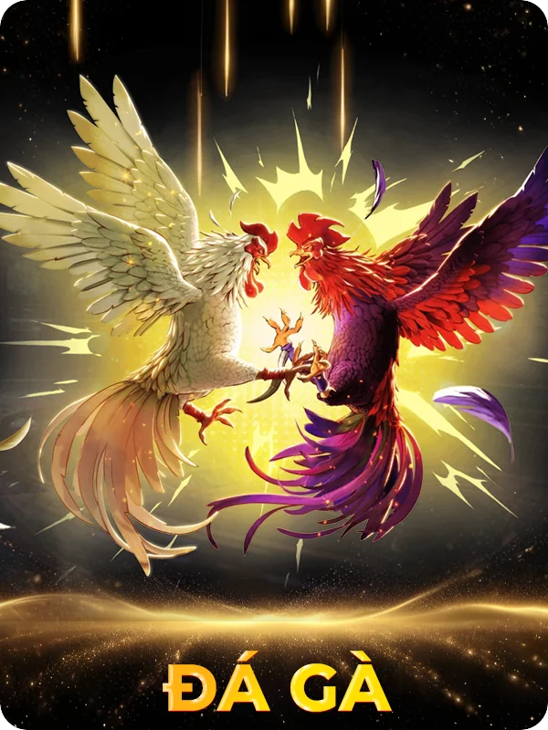 Sảnh Đá Gà K8bet